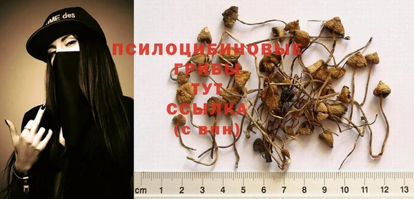 дживик Армянск